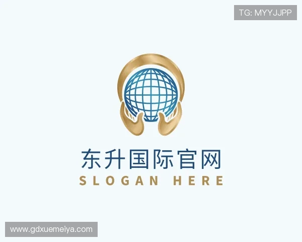 解读东升国际入口